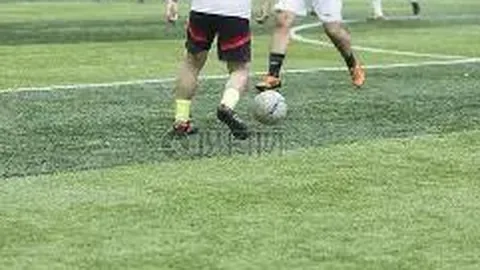 明星逃亡全记录：365天揭秘2322相关资料