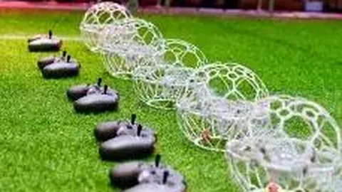 开云体育网址 资讯 110118 owd