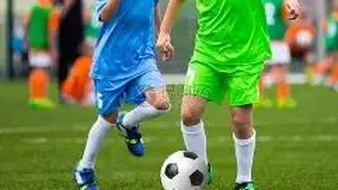 开云体育网址 资讯 110123 77p