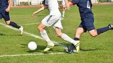 开云体育网址 资讯 094143 pol