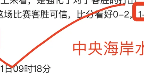 揭秘：赫伊森与雅克松金牌背后的关键人物，巴拉特荣膺2025金童奖最佳经纪人殊荣！